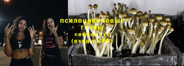 гидропоника Горно-Алтайск