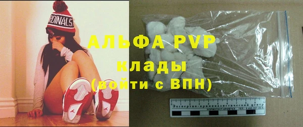 дмт Дмитриев