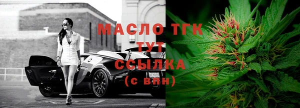 винт Горняк