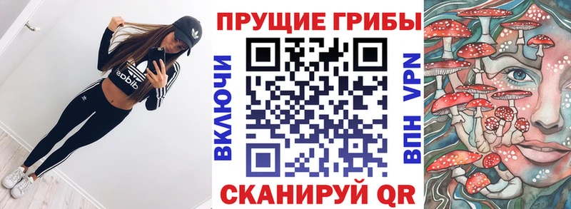 сколько стоит  Великий Новгород  KRAKEN зеркало  Псилоцибиновые грибы Cubensis 